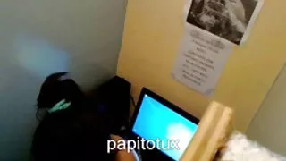 Raudona trumpaplaukis kekše kalti, Geng-Beng su triple penetration